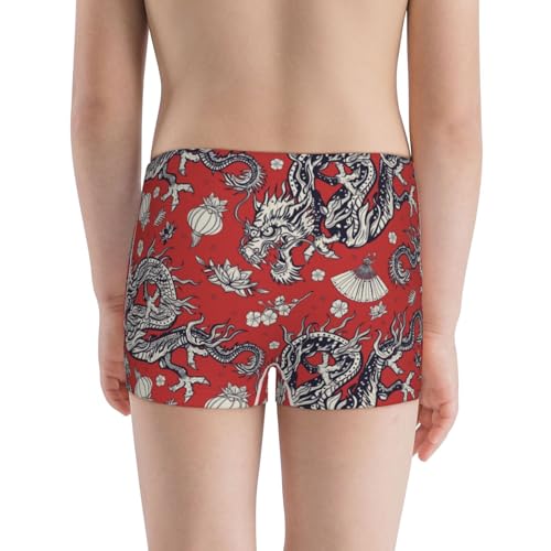 Boys' Cotton Boxer Brief Soft Underwear-Dragons3
