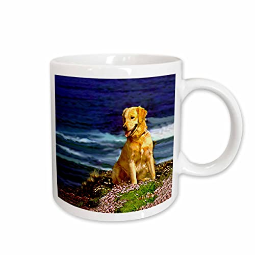 3dRose Dogs Golden Retriever - Golden Retriever 11oz Mug