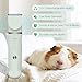 Lyrzzey Guinea Pig & Rabbit Grooming Kit 2 in 1 – Cordless Hair Clipper & Nail Grinder for Small Animals– Low-Noise Rechargeable Nail Clippers Electric - Green
