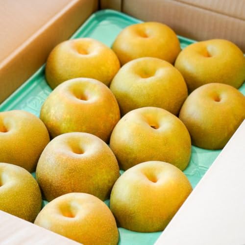 幸水 10kg」の人気商品一覧・価格比較 - 価格.com