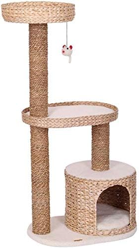 albero indoor per gatti