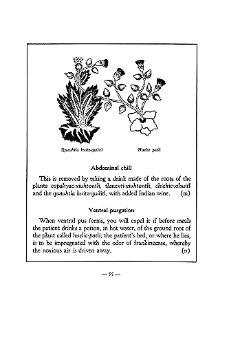 An Aztec Herbal: The Classic Codex of 1552 - Image 12