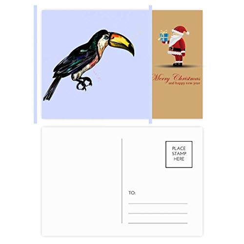 Cartes postales oiseaux tropicaux du Père Noël Painting Toco en lot de 20 pièces pour les fêtes