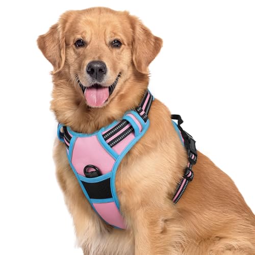 Image of rabbitgoo Dog Harness No Pull with 2 Leash Clips, Adjustable Soft Padded, Reflective Oxford No Choke Pet Vest with Easy Control Handle for Large Dogs, Pink & Blue, XL