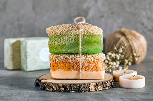 Sabun Co. Donkey Milk Soap With Honey - Natural Exfoliating Loofah Soap Bar - Nourishing, Hydrating, Moisturizing Handmade Soap For Face And Body - Soap With Loofah Inside [4.4 Oz - 125 Gr] #TOP3