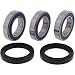All Balls 25-1250 Rear Wheel Bearing Kit