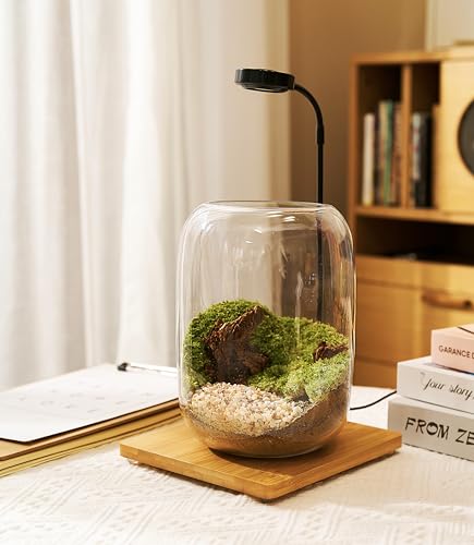 Terrarium Kit with Grow Light β 24-Piece DIY Glass Terrarium Set with Tools, Moss, Driftwood, Soil & Pebbles β Mini Gardening Kit for Air Plants, Succulents & Indoor Desk Decoration Gift