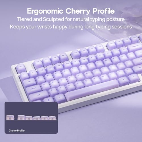 Image of EPOMAKER AegisSil Keycap Set, Silicone Material, Cherry Profile, 113 Keys, 65% /75% /96% /Full Size, Custom Keyboard Keycaps Set for Cherry MX, Kailh, Outemu, Gateron Mechanical Gaming Keyboard (Purple)