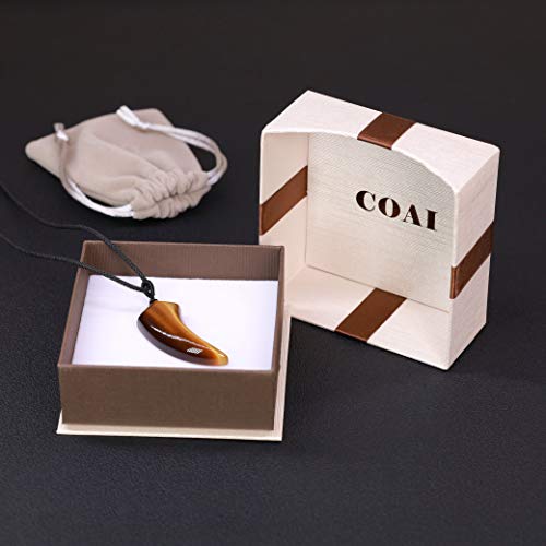 Coai Wolf Tooth Healing Crystal Tiger Eye Necklace #TOP5