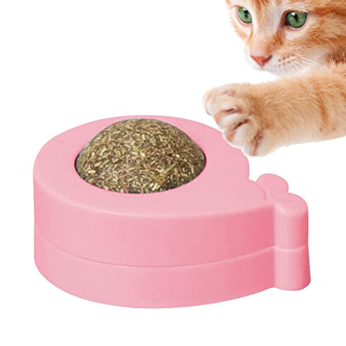 Cat Nip Balls | Gatinho Licking Catnip Wall Toys | Brinquedos interativos comestíveis para gatinhos,