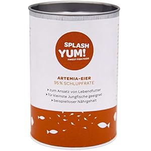 Artemia-eieren 95%+ uitkomstpercentage A+++ Productie van levend voedsel voor het kweken van discus, cichliden, guppy…