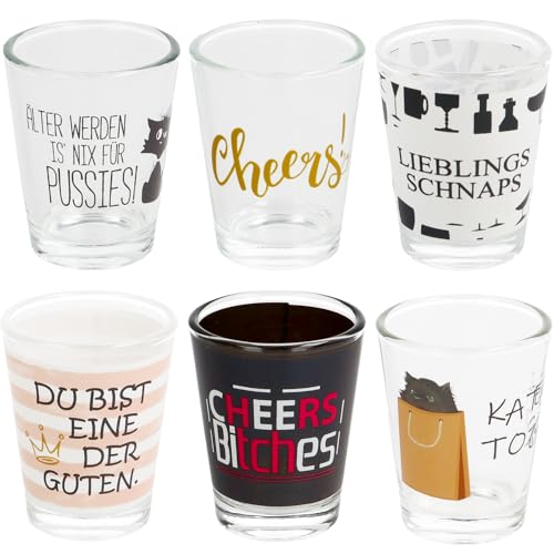 6 Schnapsgläser mit Motiv und Sprüchen|lustiges Schnapsglasset|Shotgläser-Set|Party-Shots|Spaßgläser|Trinkspiel|Stamperl|Tequilaglas|Studentenparty|Silvester|lustiges Geburtstagsgeschenk (6er Set 2)