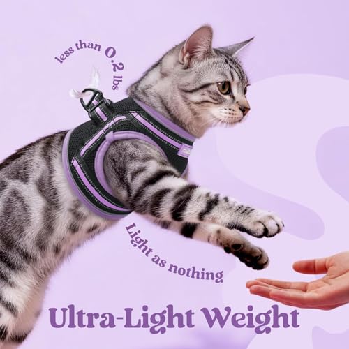 Image of rabbitgoo Cat Harness and Leash Set, Step-in Soft Vest, Black-Light Purple | Escape Proof, Lightweight, Easy-on & Adjustable, Hook & Loop with Buckle, Reflective, for Small Cats Walks, L