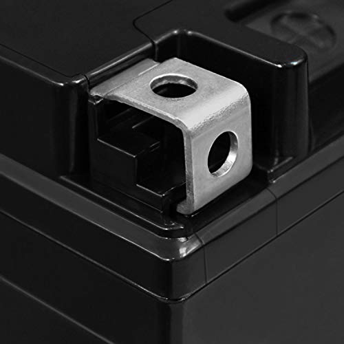 Ytx14-Bs Replacement For 1988-2000 Honda Fourtrax 300 Powersports Bttry #TOP3