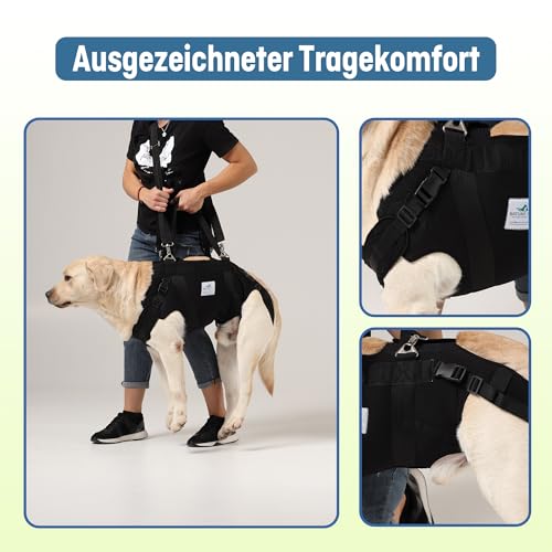 Nature Pet Ganzkörper Tragehilfe für Hunde aus 4 mm starkem Neopren/Durchgehende Tragehilfe mit stark gepolstertem Hebegurt – Ganzkörper-Hebegeschirr für Reha & Mobilität (L)