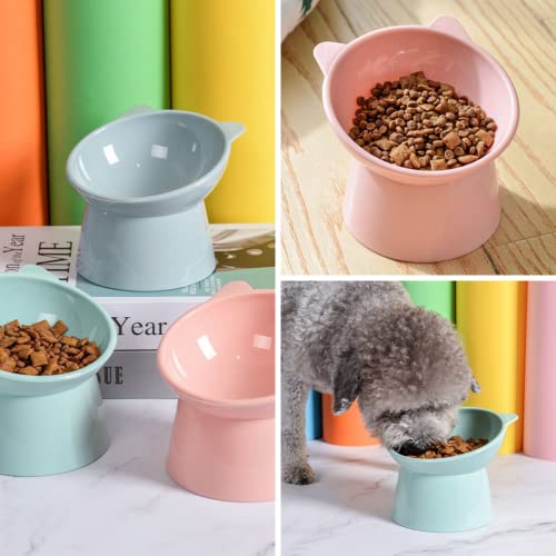 Comedouro Bebedouro Elevado Inclinado Gatos Cães Verde