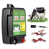Electric Fence Energiser, Input 12V Electric Fence Charger, Output 12KV Peak 2Joule, 7.5 Miles/12Km Range, High Voltage Pulse Controller for Livestock,Large Animals,Horse, Sheep, Keep Away Predators