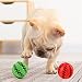OUOQI Hundespielzeug Ball,2er Pack Kauspielzeug aus Naturkautschuk,Hundeball mit Zahnpflege-Funktion,Naturgummi Hund Feeder Ball,Bissfestes Hundespielzeug,Für kleine Hunde (5cm)