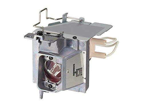 Moduli lampada NEC 100014091 per proiettori NEC