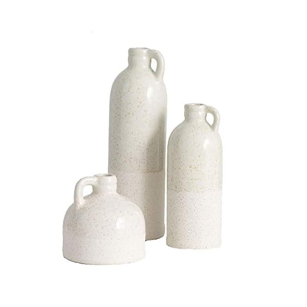 Sullivans Jug Vase Set, Farmhouse Decor, Room Decor for Your Kitchen, Bedroom, Office, Living Room, & Bathroom, Coffee Table Decor, Centerpiece Table Decorations, Aesthetic Room Decor (CM2875)