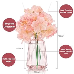 Homsolver Reed Diffuser Set Home Decor 609 OZ Rose Aromatherapy Reed Diffuser with 6 Reed Diffuser Sticks for Home Bedroom Bathroom Living Room Office Reed Diffuser Birthday Gifts for Women Friend