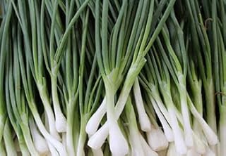 “Heshiko” Evergreen Bunching Onion Seeds – Strong Flavor | Heirloom Seeds by Liliana's Garden |