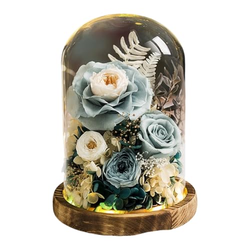 Ruying vU[uht[  dp    KXh[ ybg KN ledCgt AWg ybĝ   ފ ~ V~ ~ 䋟 l\   Q (u[zCg)