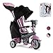 smarTrike 6502202 Baby Dreirad, Pink Grey