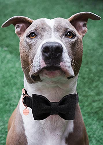 Image of DOGWONG Hemp Cotton Dog Collar with Bow, Black Pet Collar Durable Adjustable Puppy Collar for Small Medium Large Dogs