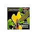 Masters of Flamenco Guitar / Various