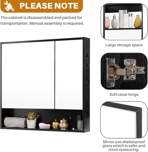 ALIMORDEN Medicine Cabinet with Mirror and Shelves, Oversized Bathroom Wall Storage Organizer Over The Vanity, Toilet, Recessed or Surface Mount, 30.4" L x 29.5" H, Black