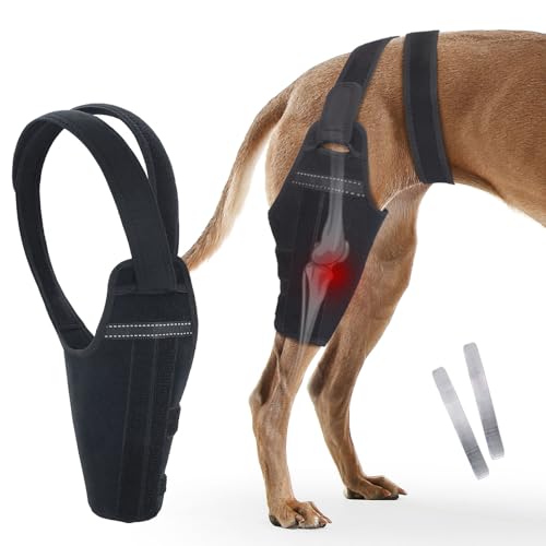 GoGoPaw Dog Knee Brace–Adjustable Support Brace for Torn Acl Hind Legs with 2 Stabilizer Support