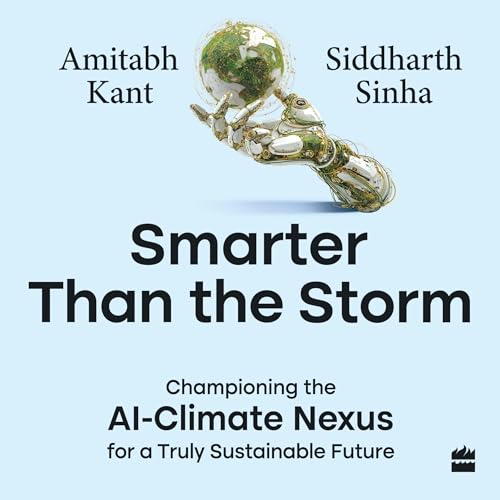 『Smarter Than the Storm』のカバーアート