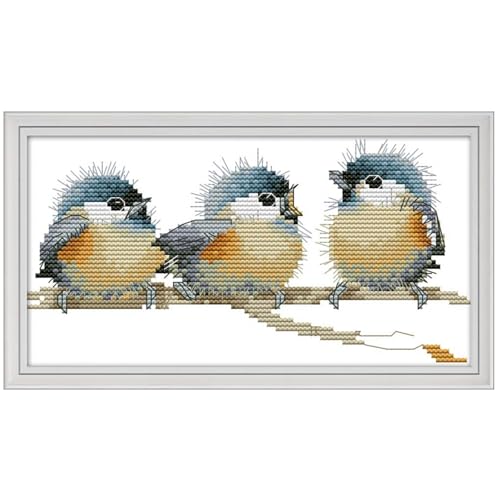 Image of CaptainCrafts Cross Stitch Kits for Adults Stamped 14CT Birds Pattern | Printed Fabric, Three Birds Cross Stitching, DIY Hand Embroidery, Relaxing Crafts, Home Decor