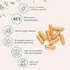Micro Ingredients Cúrcuma Curcumina 1,000mg por Porción, 120 Cápsulas | Suplemento de Cúrcuma Curcumina con 95% Curcuminoides, Pimienta Negra y Jengibre. Sin Rellenos, No GMO, Vegetariano, Sin Gluten. Cápsula 120 Count (Pack de 1) 8