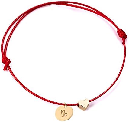 Ailiessy Love Heart Friendship Bracelet Bangle Handmade Braided Rope 12 Zodiac Constellation Bracelet for Women Girls(Capricorn)