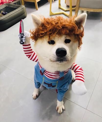 Disfraz para perro tamaño M con accesorio de cuchillo miniatura 4