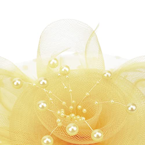 Image of DRESHOW Fascinators Hat Flower Mesh Ribbons Feathers on a Headband and a Clip Tea Party Headwear for Girls and Women