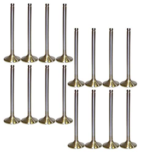 Dnj Vk163165 Exhaust Intake Valve Kit For 1999 To 2017 Buick, Cadillac, Chevrolet, Gmc, Hummer, Isuzu, Saab V8 4.8L, 5.3L Ohv 16V Ev3165 X8 Iv3165 X8 #TOP26