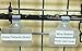 Wire Basket Label Holders, Plastic Sign Clip for 3/8