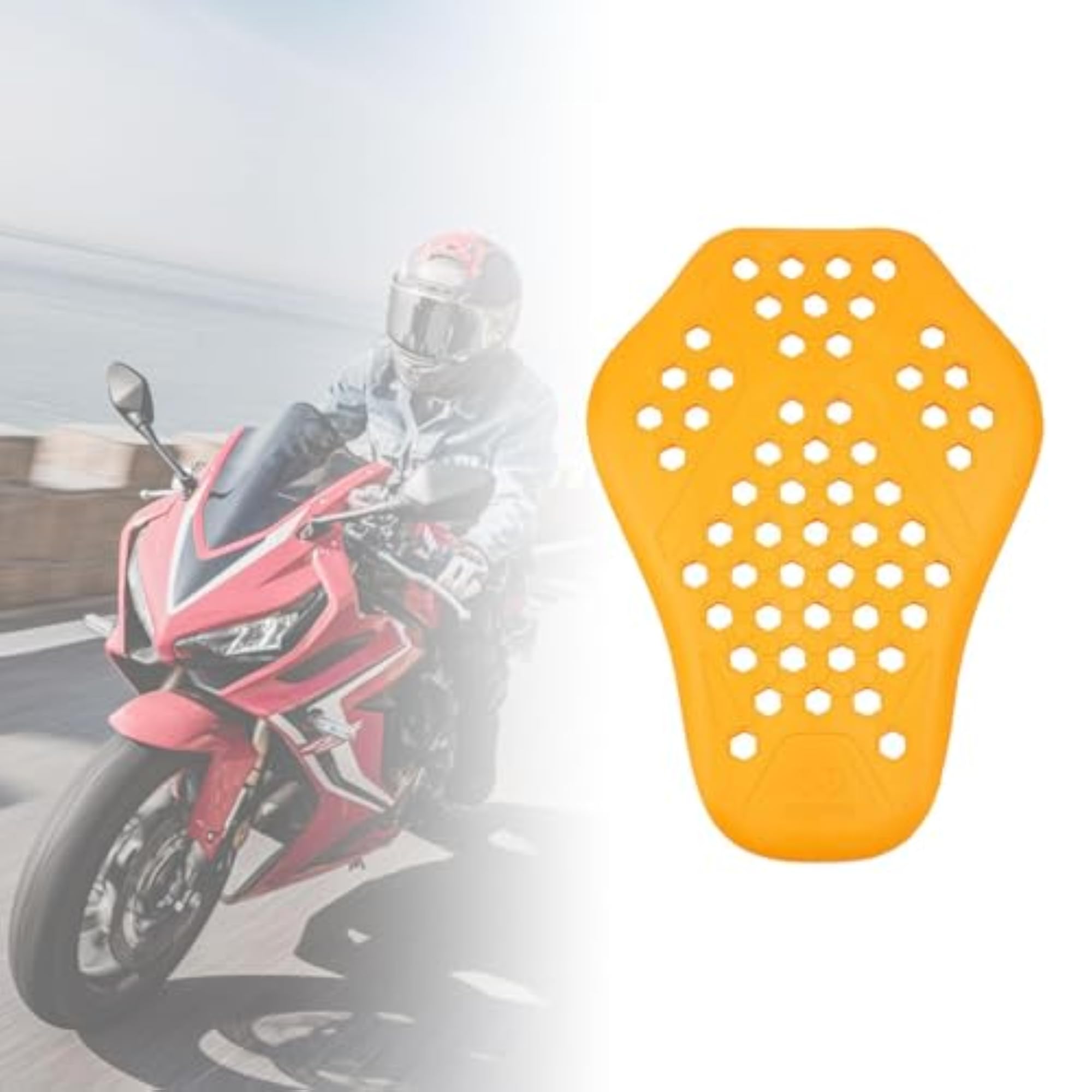 Generic Motorcycle Back Armor Protection Pad