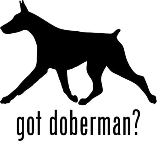 Got Doberman Working Dog Pet Animal Graphic Car Truck Window Decor Decal Sticker