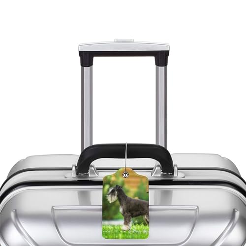 Étiquette bagage cuir Schnauzer chic avec boucle inox pour valise - 6