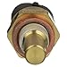 Delphi TS10076 Coolant Temperature Sensor