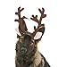 Midlee Brown Reindeer Dog Antlers Headband with Jingle Bell- Pet Christmas Costume