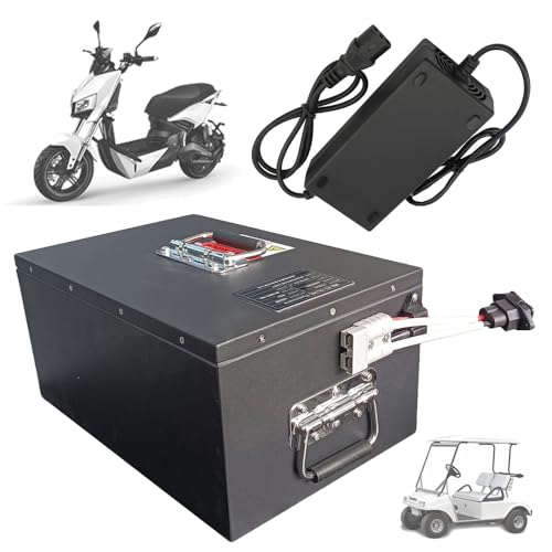 SSCYHT Batería de Litio 72 V y 40 Ah Batería LiFePO4 60 V Baterías para Motos eléctricas 72 V Baterías Recargables para Motores 250 W a 2800 W con BMS y manija,60v40ah