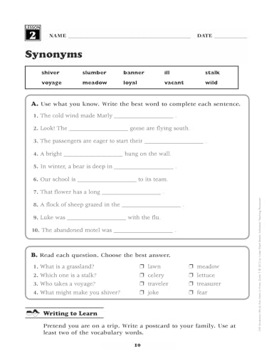 240 Vocabulary Words Kids Need to Know: Grade 3: 24 Ready-to-reproduce Packets That Make Vocabulary Building Fun & Effective (Teaching Resources) - Image 8
