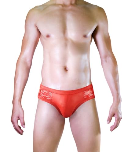 Sexy Mens Lace Underwear Briefs with Transparent Lace Back Hallow Out Male Underpanties2