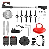 CONENTOOL 600W Akku Rasentrimmer mit 2X 2000mAh