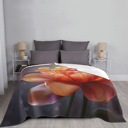 Couverture microfibre fleurie 152x127 cm pour lit et canapé - 7